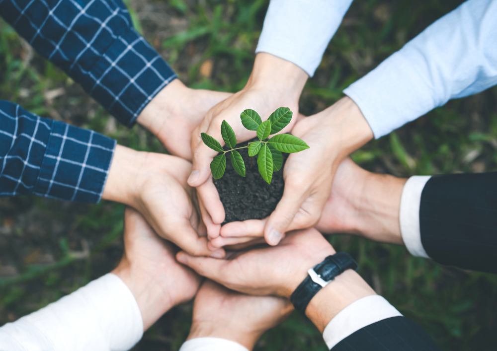 {"type":"elementor","siteurl":"https://skillsforfuture.net/wp-json/","elements":[{"id":"f34954c","elType":"widget","isInner":false,"isLocked":false,"settings":{"image":{"id":28416,"url":"https://skillsforfuture.net/wp-content/uploads/2025/01/Design-ohne-Titel.png","alt":"Sonstige Interessenten","source":"library","size":""},"image_size":"large","image_border_border":"none","image_border_width":{"unit":"em","top":"","right":"","bottom":"","left":"","isLinked":false},"image_border_width_tablet":{"unit":"px","top":"4","right":"0","bottom":"0","left":"0","isLinked":false},"image_border_width_mobile":{"unit":"px","top":"4","right":"0","bottom":"0","left":"0","isLinked":false},"image_border_radius":{"unit":"%","top":"","right":"","bottom":"","left":"","isLinked":true},"image_box_shadow_box_shadow":{"horizontal":0,"vertical":10,"blur":50,"spread":0,"color":"rgba(63.99999999999993, 71.99999999999993, 81.99999999999991, 0.12)"},"ep_widget_cf_colors":"#D30C5C, #0EBCDC, #EAED41, #ED5A78, #DF33DF","ep_notation_list":[{"_id":"2a69ab0","ep_notation_bracket_on":"left,right","ep_notation_select_type":"widget","ep_notation_custom_selector":"","ep_notation_type":"underline","ep_notation_color":"","ep_notation_anim_duration":{"unit":"px","size":800,"sizes":[]},"ep_notation_stroke_width":{"unit":"px","size":1,"sizes":[]},"ep_notation_waypoint_offset":""}],"ep_sound_effects_element_selector":"my-header","element_pack_widget_tooltip_text":"This is Tooltip","ep_parallax_effects_transition_for":"all","ep_parallax_effects_transition_duration":"100","ep_parallax_effects_transition_easing":"linear","element_pack_widget_effect_transition_duration":"300","element_pack_widget_effect_transition_easing":"ease-out","__globals__":{"image_border_color":""},"element_pack_cursor_effects_image_src":{"url":"","id":"","size":""},"element_pack_cursor_effects_icons":{"value":"fas fa-laugh-wink","library":"fa-solid"},"element_pack_cursor_effects_text_background_image":{"url":"","id":"","size":""},"element_pack_cursor_effects_text_background_video_fallback":{"url":"","id":"","size":""},"element_pack_cursor_effects_text_background_slideshow_gallery":[],"ep_sound_effects_hosted_url":{"url":"","id":"","size":""},"element_pack_widget_tooltip_background_image":{"url":"","id":"","size":""},"element_pack_widget_tooltip_background_video_fallback":{"url":"","id":"","size":""},"element_pack_widget_tooltip_background_slideshow_gallery":[],"ep_display_conditions":[],"ep_background_overlay_image":{"url":"","id":"","size":""},"ep_background_overlay_video_fallback":{"url":"","id":"","size":""},"ep_background_overlay_slideshow_gallery":[],"ep_background_overlay_hover_image":{"url":"","id":"","size":""},"ep_background_overlay_hover_video_fallback":{"url":"","id":"","size":""},"ep_background_overlay_hover_slideshow_gallery":[],"ep_widget_cf_confetti":"","ep_widget_cf_type":"basic","ep_widget_cf_fireworks_duration":{"unit":"px","size":"","sizes":[]},"ep_widget_cf_anim_infinite":"","ep_widget_cf_particle_count":{"unit":"px","size":"","sizes":[]},"ep_widget_cf_start_velocity":{"unit":"px","size":"","sizes":[]},"ep_widget_cf_spread":{"unit":"px","size":"","sizes":[]},"ep_widget_cf_angle":{"unit":"px","size":"","sizes":[]},"ep_widget_cf_shapes":"","ep_widget_cf_origin":"","ep_widget_cf_origin_x":{"unit":"px","size":"","sizes":[]},"ep_widget_cf_origin_y":{"unit":"px","size":"","sizes":[]},"ep_widget_cf_trigger_type":"load","ep_widget_cf_trigger_selector":"","ep_widget_cf_trigger_delay":{"unit":"px","size":3000,"sizes":[]},"ep_widget_cf_z_index":"","element_pack_cursor_effects_show":"","element_pack_cursor_effects_source":"default","element_pack_cursor_effects_style":"ep-cursor-style-1","element_pack_cursor_effects_text_label":"","element_pack_cursor_effects_speed":{"unit":"px","size":0.075,"sizes":[]},"element_pack_cursor_effects_disable_default_cursor":"","element_pack_cursor_effects_primary_color":"","element_pack_cursor_effects_primary_size":{"unit":"px","size":"","sizes":[]},"element_pack_cursor_effects_primary_size_tablet":{"unit":"px","size":"","sizes":[]},"element_pack_cursor_effects_primary_size_mobile":{"unit":"px","size":"","sizes":[]},"element_pack_cursor_effects_secondary_color":"","element_pack_cursor_effects_secondary_size":{"unit":"px","size":"","sizes":[]},"element_pack_cursor_effects_secondary_size_tablet":{"unit":"px","size":"","sizes":[]},"element_pack_cursor_effects_secondary_size_mobile":{"unit":"px","size":"","sizes":[]},"element_pack_cursor_effects_text_color":"","element_pack_cursor_effects_text_background_background":"","element_pack_cursor_effects_text_background_color":"","element_pack_cursor_effects_text_background_color_stop":{"unit":"%","size":0,"sizes":[]},"element_pack_cursor_effects_text_background_color_b":"#f2295b","element_pack_cursor_effects_text_background_color_b_stop":{"unit":"%","size":100,"sizes":[]},"element_pack_cursor_effects_text_background_gradient_type":"linear","element_pack_cursor_effects_text_background_gradient_angle":{"unit":"deg","size":180,"sizes":[]},"element_pack_cursor_effects_text_background_gradient_position":"center center","element_pack_cursor_effects_text_background_image_tablet":{"url":"","id":"","size":""},"element_pack_cursor_effects_text_background_image_mobile":{"url":"","id":"","size":""},"element_pack_cursor_effects_text_background_position":"","element_pack_cursor_effects_text_background_position_tablet":"","element_pack_cursor_effects_text_background_position_mobile":"","element_pack_cursor_effects_text_background_xpos":{"unit":"px","size":0,"sizes":[]},"element_pack_cursor_effects_text_background_xpos_tablet":{"unit":"px","size":0,"sizes":[]},"element_pack_cursor_effects_text_background_xpos_mobile":{"unit":"px","size":0,"sizes":[]},"element_pack_cursor_effects_text_background_ypos":{"unit":"px","size":0,"sizes":[]},"element_pack_cursor_effects_text_background_ypos_tablet":{"unit":"px","size":0,"sizes":[]},"element_pack_cursor_effects_text_background_ypos_mobile":{"unit":"px","size":0,"sizes":[]},"element_pack_cursor_effects_text_background_attachment":"","element_pack_cursor_effects_text_background_repeat":"","element_pack_cursor_effects_text_background_repeat_tablet":"","element_pack_cursor_effects_text_background_repeat_mobile":"","element_pack_cursor_effects_text_background_size":"","element_pack_cursor_effects_text_background_size_tablet":"","element_pack_cursor_effects_text_background_size_mobile":"","element_pack_cursor_effects_text_background_bg_width":{"unit":"%","size":100,"sizes":[]},"element_pack_cursor_effects_text_background_bg_width_tablet":{"unit":"px","size":"","sizes":[]},"element_pack_cursor_effects_text_background_bg_width_mobile":{"unit":"px","size":"","sizes":[]},"element_pack_cursor_effects_text_background_video_link":"","element_pack_cursor_effects_text_background_video_start":"","element_pack_cursor_effects_text_background_video_end":"","element_pack_cursor_effects_text_background_play_once":"","element_pack_cursor_effects_text_background_play_on_mobile":"","element_pack_cursor_effects_text_background_privacy_mode":"","element_pack_cursor_effects_text_background_slideshow_loop":"yes","element_pack_cursor_effects_text_background_slideshow_slide_duration":5000,"element_pack_cursor_effects_text_background_slideshow_slide_transition":"fade","element_pack_cursor_effects_text_background_slideshow_transition_duration":500,"element_pack_cursor_effects_text_background_slideshow_background_size":"","element_pack_cursor_effects_text_background_slideshow_background_size_tablet":"","element_pack_cursor_effects_text_background_slideshow_background_size_mobile":"","element_pack_cursor_effects_text_background_slideshow_background_position":"","element_pack_cursor_effects_text_background_slideshow_background_position_tablet":"","element_pack_cursor_effects_text_background_slideshow_background_position_mobile":"","element_pack_cursor_effects_text_background_slideshow_lazyload":"","element_pack_cursor_effects_text_background_slideshow_ken_burns":"","element_pack_cursor_effects_text_background_slideshow_ken_burns_zoom_direction":"in","element_pack_cursor_effects_text_padding":{"unit":"px","top":"","right":"","bottom":"","left":"","isLinked":true},"element_pack_cursor_effects_text_padding_tablet":{"unit":"px","top":"","right":"","bottom":"","left":"","isLinked":true},"element_pack_cursor_effects_text_padding_mobile":{"unit":"px","top":"","right":"","bottom":"","left":"","isLinked":true},"element_pack_cursor_effects_text_border_border":"","element_pack_cursor_effects_text_border_width":{"unit":"px","top":"","right":"","bottom":"","left":"","isLinked":true},"element_pack_cursor_effects_text_border_width_tablet":{"unit":"px","top":"","right":"","bottom":"","left":"","isLinked":true},"element_pack_cursor_effects_text_border_width_mobile":{"unit":"px","top":"","right":"","bottom":"","left":"","isLinked":true},"element_pack_cursor_effects_text_border_color":"","element_pack_cursor_effects_text_radius":{"unit":"px","top":"","right":"","bottom":"","left":"","isLinked":true},"element_pack_cursor_effects_text_radius_tablet":{"unit":"px","top":"","right":"","bottom":"","left":"","isLinked":true},"element_pack_cursor_effects_text_radius_mobile":{"unit":"px","top":"","right":"","bottom":"","left":"","isLinked":true},"element_pack_cursor_effects_text_typography_typography":"","element_pack_cursor_effects_text_typography_font_family":"","element_pack_cursor_effects_text_typography_font_size":{"unit":"px","size":"","sizes":[]},"element_pack_cursor_effects_text_typography_font_size_tablet":{"unit":"px","size":"","sizes":[]},"element_pack_cursor_effects_text_typography_font_size_mobile":{"unit":"px","size":"","sizes":[]},"element_pack_cursor_effects_text_typography_font_weight":"","element_pack_cursor_effects_text_typography_text_transform":"","element_pack_cursor_effects_text_typography_font_style":"","element_pack_cursor_effects_text_typography_text_decoration":"","element_pack_cursor_effects_text_typography_line_height":{"unit":"px","size":"","sizes":[]},"element_pack_cursor_effects_text_typography_line_height_tablet":{"unit":"em","size":"","sizes":[]},"element_pack_cursor_effects_text_typography_line_height_mobile":{"unit":"em","size":"","sizes":[]},"element_pack_cursor_effects_text_typography_letter_spacing":{"unit":"px","size":"","sizes":[]},"element_pack_cursor_effects_text_typography_letter_spacing_tablet":{"unit":"px","size":"","sizes":[]},"element_pack_cursor_effects_text_typography_letter_spacing_mobile":{"unit":"px","size":"","sizes":[]},"element_pack_cursor_effects_text_typography_word_spacing":{"unit":"px","size":"","sizes":[]},"element_pack_cursor_effects_text_typography_word_spacing_tablet":{"unit":"em","size":"","sizes":[]},"element_pack_cursor_effects_text_typography_word_spacing_mobile":{"unit":"em","size":"","sizes":[]},"element_pack_cursor_effects_image_size":{"unit":"px","size":"","sizes":[]},"element_pack_cursor_effects_image_size_tablet":{"unit":"px","size":"","sizes":[]},"element_pack_cursor_effects_image_size_mobile":{"unit":"px","size":"","sizes":[]},"element_pack_cursor_effects_image_border_border":"","element_pack_cursor_effects_image_border_width":{"unit":"px","top":"","right":"","bottom":"","left":"","isLinked":true},"element_pack_cursor_effects_image_border_width_tablet":{"unit":"px","top":"","right":"","bottom":"","left":"","isLinked":true},"element_pack_cursor_effects_image_border_width_mobile":{"unit":"px","top":"","right":"","bottom":"","left":"","isLinked":true},"element_pack_cursor_effects_image_border_color":"","element_pack_cursor_effects_image_radius":{"unit":"px","top":"","right":"","bottom":"","left":"","isLinked":true},"element_pack_cursor_effects_image_radius_tablet":{"unit":"px","top":"","right":"","bottom":"","left":"","isLinked":true},"element_pack_cursor_effects_image_radius_mobile":{"unit":"px","top":"","right":"","bottom":"","left":"","isLinked":true},"element_pack_cursor_effects_icons_size":{"unit":"px","size":"","sizes":[]},"element_pack_cursor_effects_icons_size_tablet":{"unit":"px","size":"","sizes":[]},"element_pack_cursor_effects_icons_size_mobile":{"unit":"px","size":"","sizes":[]},"ep_notation_active":"","element_pack_reveal_effects_enable":"","element_pack_reveal_effects_direction":"lr","element_pack_reveal_effects_easing":"easeOutQuint","element_pack_reveal_effects_speed":{"unit":"px","size":5,"sizes":[]},"element_pack_reveal_effects_color":"","ep_sound_effects_active":"","ep_sound_effects_select_type":"widget","ep_sound_effects_event":"click","ep_sound_effects_source":"bubble","ep_sound_effects_source_local_link":"http://localhost.local/wp-content/plugins/bdthemes-element-pack/assets/sounds/","element_pack_widget_tooltip":"","element_pack_widget_tooltip_placement":"","element_pack_widget_tooltip_follow_cursor":"","element_pack_widget_tooltip_animation":"","element_pack_widget_tooltip_trigger":"","element_pack_widget_tooltip_custom_trigger":"","element_pack_widget_tooltip_x_offset":{"unit":"px","size":"","sizes":[]},"element_pack_widget_tooltip_y_offset":{"unit":"px","size":"","sizes":[]},"element_pack_widget_tooltip_arrow":"","element_pack_widget_tooltip_width":{"unit":"px","size":"","sizes":[]},"element_pack_widget_tooltip_width_tablet":{"unit":"px","size":"","sizes":[]},"element_pack_widget_tooltip_width_mobile":{"unit":"px","size":"","sizes":[]},"element_pack_widget_tooltip_color":"","element_pack_widget_tooltip_background_background":"","element_pack_widget_tooltip_background_color":"","element_pack_widget_tooltip_background_color_stop":{"unit":"%","size":0,"sizes":[]},"element_pack_widget_tooltip_background_color_b":"#f2295b","element_pack_widget_tooltip_background_color_b_stop":{"unit":"%","size":100,"sizes":[]},"element_pack_widget_tooltip_background_gradient_type":"linear","element_pack_widget_tooltip_background_gradient_angle":{"unit":"deg","size":180,"sizes":[]},"element_pack_widget_tooltip_background_gradient_position":"center center","element_pack_widget_tooltip_background_image_tablet":{"url":"","id":"","size":""},"element_pack_widget_tooltip_background_image_mobile":{"url":"","id":"","size":""},"element_pack_widget_tooltip_background_position":"","element_pack_widget_tooltip_background_position_tablet":"","element_pack_widget_tooltip_background_position_mobile":"","element_pack_widget_tooltip_background_xpos":{"unit":"px","size":0,"sizes":[]},"element_pack_widget_tooltip_background_xpos_tablet":{"unit":"px","size":0,"sizes":[]},"element_pack_widget_tooltip_background_xpos_mobile":{"unit":"px","size":0,"sizes":[]},"element_pack_widget_tooltip_background_ypos":{"unit":"px","size":0,"sizes":[]},"element_pack_widget_tooltip_background_ypos_tablet":{"unit":"px","size":0,"sizes":[]},"element_pack_widget_tooltip_background_ypos_mobile":{"unit":"px","size":0,"sizes":[]},"element_pack_widget_tooltip_background_attachment":"","element_pack_widget_tooltip_background_repeat":"","element_pack_widget_tooltip_background_repeat_tablet":"","element_pack_widget_tooltip_background_repeat_mobile":"","element_pack_widget_tooltip_background_size":"","element_pack_widget_tooltip_background_size_tablet":"","element_pack_widget_tooltip_background_size_mobile":"","element_pack_widget_tooltip_background_bg_width":{"unit":"%","size":100,"sizes":[]},"element_pack_widget_tooltip_background_bg_width_tablet":{"unit":"px","size":"","sizes":[]},"element_pack_widget_tooltip_background_bg_width_mobile":{"unit":"px","size":"","sizes":[]},"element_pack_widget_tooltip_background_video_link":"","element_pack_widget_tooltip_background_video_start":"","element_pack_widget_tooltip_background_video_end":"","element_pack_widget_tooltip_background_play_once":"","element_pack_widget_tooltip_background_play_on_mobile":"","element_pack_widget_tooltip_background_privacy_mode":"","element_pack_widget_tooltip_background_slideshow_loop":"yes","element_pack_widget_tooltip_background_slideshow_slide_duration":5000,"element_pack_widget_tooltip_background_slideshow_slide_transition":"fade","element_pack_widget_tooltip_background_slideshow_transition_duration":500,"element_pack_widget_tooltip_background_slideshow_background_size":"","element_pack_widget_tooltip_background_slideshow_background_size_tablet":"","element_pack_widget_tooltip_background_slideshow_background_size_mobile":"","element_pack_widget_tooltip_background_slideshow_background_position":"","element_pack_widget_tooltip_background_slideshow_background_position_tablet":"","element_pack_widget_tooltip_background_slideshow_background_position_mobile":"","element_pack_widget_tooltip_background_slideshow_lazyload":"","element_pack_widget_tooltip_background_slideshow_ken_burns":"","element_pack_widget_tooltip_background_slideshow_ken_burns_zoom_direction":"in","element_pack_widget_tooltip_arrow_color":"","element_pack_widget_tooltip_padding":{"unit":"px","top":"","right":"","bottom":"","left":"","isLinked":true},"element_pack_widget_tooltip_padding_tablet":{"unit":"px","top":"","right":"","bottom":"","left":"","isLinked":true},"element_pack_widget_tooltip_padding_mobile":{"unit":"px","top":"","right":"","bottom":"","left":"","isLinked":true},"element_pack_widget_tooltip_border_border":"","element_pack_widget_tooltip_border_width":{"unit":"px","top":"","right":"","bottom":"","left":"","isLinked":true},"element_pack_widget_tooltip_border_width_tablet":{"unit":"px","top":"","right":"","bottom":"","left":"","isLinked":true},"element_pack_widget_tooltip_border_width_mobile":{"unit":"px","top":"","right":"","bottom":"","left":"","isLinked":true},"element_pack_widget_tooltip_border_color":"","element_pack_widget_tooltip_border_radius":{"unit":"px","top":"","right":"","bottom":"","left":"","isLinked":true},"element_pack_widget_tooltip_border_radius_tablet":{"unit":"px","top":"","right":"","bottom":"","left":"","isLinked":true},"element_pack_widget_tooltip_border_radius_mobile":{"unit":"px","top":"","right":"","bottom":"","left":"","isLinked":true},"element_pack_widget_tooltip_text_align":"center","element_pack_widget_tooltip_box_shadow_box_shadow_type":"","element_pack_widget_tooltip_box_shadow_box_shadow":{"horizontal":0,"vertical":0,"blur":10,"spread":0,"color":"rgba(0,0,0,0.5)"},"element_pack_widget_tooltip_box_shadow_box_shadow_position":" ","element_pack_widget_tooltip_typography_typography":"","element_pack_widget_tooltip_typography_font_family":"","element_pack_widget_tooltip_typography_font_size":{"unit":"px","size":"","sizes":[]},"element_pack_widget_tooltip_typography_font_size_tablet":{"unit":"px","size":"","sizes":[]},"element_pack_widget_tooltip_typography_font_size_mobile":{"unit":"px","size":"","sizes":[]},"element_pack_widget_tooltip_typography_font_weight":"","element_pack_widget_tooltip_typography_text_transform":"","element_pack_widget_tooltip_typography_font_style":"","element_pack_widget_tooltip_typography_text_decoration":"","element_pack_widget_tooltip_typography_line_height":{"unit":"px","size":"","sizes":[]},"element_pack_widget_tooltip_typography_line_height_tablet":{"unit":"em","size":"","sizes":[]},"element_pack_widget_tooltip_typography_line_height_mobile":{"unit":"em","size":"","sizes":[]},"element_pack_widget_tooltip_typography_letter_spacing":{"unit":"px","size":"","sizes":[]},"element_pack_widget_tooltip_typography_letter_spacing_tablet":{"unit":"px","size":"","sizes":[]},"element_pack_widget_tooltip_typography_letter_spacing_mobile":{"unit":"px","size":"","sizes":[]},"element_pack_widget_tooltip_typography_word_spacing":{"unit":"px","size":"","sizes":[]},"element_pack_widget_tooltip_typography_word_spacing_tablet":{"unit":"em","size":"","sizes":[]},"element_pack_widget_tooltip_typography_word_spacing_mobile":{"unit":"em","size":"","sizes":[]},"ep_display_conditions_enable":"","ep_display_conditions_to":"show","ep_display_conditions_relation":"all","element_pack_wrapper_link":{"url":"","is_external":"","nofollow":"","custom_attributes":""},"ep_floating_effects_show":"","ep_floating_effects_translate_toggle":"","ep_floating_effects_translate_x":{"unit":"px","size":"","sizes":{"from":0,"to":0}},"ep_floating_effects_translate_y":{"unit":"px","size":"","sizes":{"from":0,"to":30}},"ep_floating_effects_translate_duration":{"unit":"px","size":1000,"sizes":[]},"ep_floating_effects_translate_delay":{"unit":"px","size":"","sizes":[]},"ep_floating_effects_rotate_toggle":"","ep_floating_effects_rotate_x":{"unit":"deg","size":"","sizes":{"from":0,"to":0}},"ep_floating_effects_rotate_y":{"unit":"deg","size":"","sizes":{"from":0,"to":0}},"ep_floating_effects_rotate_z":{"unit":"deg","size":"","sizes":{"from":0,"to":45}},"ep_floating_effects_rotate_infinite":"","ep_floating_effects_rotate_duration":{"unit":"px","size":2000,"sizes":[]},"ep_floating_effects_rotate_delay":{"unit":"px","size":"","sizes":[]},"ep_floating_effects_scale_toggle":"","ep_floating_effects_scale_x":{"unit":"px","size":"","sizes":{"from":1,"to":1.5}},"ep_floating_effects_scale_y":{"unit":"px","size":"","sizes":{"from":1,"to":1.5}},"ep_floating_effects_scale_duration":{"unit":"px","size":1000,"sizes":[]},"ep_floating_effects_scale_delay":{"unit":"px","size":"","sizes":[]},"ep_floating_effects_skew_toggle":"","ep_floating_effects_skew_x":{"unit":"px","size":"","sizes":{"from":1,"to":1.5}},"ep_floating_effects_skew_y":{"unit":"px","size":"","sizes":{"from":1,"to":1.5}},"ep_floating_effects_skew_duration":{"unit":"px","size":1000,"sizes":[]},"ep_floating_effects_skew_delay":{"unit":"px","size":"","sizes":[]},"ep_floating_effects_border_radius_toggle":"","ep_floating_effects_border_radius":{"unit":"px","size":"","sizes":{"from":0,"to":50}},"ep_floating_effects_border_radius_duration":{"unit":"px","size":1000,"sizes":[]},"ep_floating_effects_border_radius_delay":{"unit":"px","size":"","sizes":[]},"ep_floating_effects_opacity_toggle":"","ep_floating_effects_opacity_start":{"unit":"px","size":1,"sizes":[]},"ep_floating_effects_opacity_end":{"unit":"px","size":0,"sizes":[]},"ep_floating_effects_opacity_duration":{"unit":"px","size":1000,"sizes":[]},"ep_floating_effects_easing":"easeInOutQuad","ep_parallax_effects_show":"","ep_parallax_effects_x":"","ep_parallax_effects_x_start":{"unit":"px","size":"","sizes":[]},"ep_parallax_effects_x_end":{"unit":"px","size":"","sizes":[]},"ep_parallax_effects_x_custom_show":"","ep_parallax_effects_x_custom_value":"","ep_parallax_effects_y":"","ep_parallax_effects_y_start":{"unit":"px","size":50,"sizes":[]},"ep_parallax_effects_y_end":{"unit":"px","size":0,"sizes":[]},"ep_parallax_effects_y_custom_show":"","ep_parallax_effects_y_custom_value":"","ep_parallax_effects_opacity_toggole":"","ep_parallax_effects_opacity":"","ep_parallax_effects_opacity_custom_show":"","ep_parallax_effects_opacity_custom_value":"","ep_parallax_effects_blur":"","ep_parallax_effects_blur_start":{"unit":"px","size":"","sizes":[]},"ep_parallax_effects_blur_end":{"unit":"px","size":"","sizes":[]},"ep_parallax_effects_rotate":"","ep_parallax_effects_rotate_start":{"unit":"px","size":"","sizes":[]},"ep_parallax_effects_rotate_end":{"unit":"px","size":"","sizes":[]},"ep_parallax_effects_scale":"","ep_parallax_effects_scale_start":{"unit":"px","size":1,"sizes":[]},"ep_parallax_effects_scale_end":{"unit":"px","size":1,"sizes":[]},"ep_parallax_effects_hue":"","ep_parallax_effects_hue_value":{"unit":"px","size":"","sizes":[]},"ep_parallax_effects_sepia":"","ep_parallax_effects_sepia_value":{"unit":"px","size":1,"sizes":[]},"ep_parallax_effects_easing":"","ep_parallax_effects_easing_value":{"unit":"px","size":1,"sizes":[]},"ep_parallax_effects_transition":"","ep_parallax_effects_viewport":"","ep_parallax_effects_viewport_start":"","ep_parallax_effects_viewport_end":"","ep_parallax_effects_media_query":"","ep_parallax_effects_target":"self","uicore_enable_float":"","uicore_float_size":"","element_pack_widget_transform":"","element_pack_translate_toggle_normal":"","element_pack_widget_effect_transx_normal":{"unit":"px","size":"","sizes":[]},"element_pack_widget_effect_transx_normal_tablet":{"unit":"px","size":"","sizes":[]},"element_pack_widget_effect_transx_normal_mobile":{"unit":"px","size":"","sizes":[]},"element_pack_widget_effect_transy_normal":{"unit":"px","size":"","sizes":[]},"element_pack_widget_effect_transy_normal_tablet":{"unit":"px","size":"","sizes":[]},"element_pack_widget_effect_transy_normal_mobile":{"unit":"px","size":"","sizes":[]},"element_pack_rotate_toggle_normal":"","element_pack_widget_effect_rotatex_normal":{"unit":"px","size":"","sizes":[]},"element_pack_widget_effect_rotatex_normal_tablet":{"unit":"px","size":"","sizes":[]},"element_pack_widget_effect_rotatex_normal_mobile":{"unit":"px","size":"","sizes":[]},"element_pack_widget_effect_rotatey_normal":{"unit":"px","size":"","sizes":[]},"element_pack_widget_effect_rotatey_normal_tablet":{"unit":"px","size":"","sizes":[]},"element_pack_widget_effect_rotatey_normal_mobile":{"unit":"px","size":"","sizes":[]},"element_pack_widget_effect_rotatez_normal":{"unit":"px","size":"","sizes":[]},"element_pack_widget_effect_rotatez_normal_tablet":{"unit":"px","size":"","sizes":[]},"element_pack_widget_effect_rotatez_normal_mobile":{"unit":"px","size":"","sizes":[]},"element_pack_scale_normal":"","element_pack_widget_effect_scalex_normal":{"unit":"px","size":"","sizes":[]},"element_pack_widget_effect_scalex_normal_tablet":{"unit":"px","size":"","sizes":[]},"element_pack_widget_effect_scalex_normal_mobile":{"unit":"px","size":"","sizes":[]},"element_pack_widget_effect_scaley_normal":{"unit":"px","size":"","sizes":[]},"element_pack_widget_effect_scaley_normal_tablet":{"unit":"px","size":"","sizes":[]},"element_pack_widget_effect_scaley_normal_mobile":{"unit":"px","size":"","sizes":[]},"element_pack_skew_normal":"","element_pack_widget_effect_skewx_normal":{"unit":"px","size":"","sizes":[]},"element_pack_widget_effect_skewx_normal_tablet":{"unit":"px","size":"","sizes":[]},"element_pack_widget_effect_skewx_normal_mobile":{"unit":"px","size":"","sizes":[]},"element_pack_widget_effect_skewy_normal":{"unit":"px","size":"","sizes":[]},"element_pack_widget_effect_skewy_normal_tablet":{"unit":"px","size":"","sizes":[]},"element_pack_widget_effect_skewy_normal_mobile":{"unit":"px","size":"","sizes":[]},"element_pack_translate_toggle_hover":"","element_pack_widget_effect_transx_hover":{"unit":"px","size":"","sizes":[]},"element_pack_widget_effect_transx_hover_tablet":{"unit":"px","size":"","sizes":[]},"element_pack_widget_effect_transx_hover_mobile":{"unit":"px","size":"","sizes":[]},"element_pack_widget_effect_transy_hover":{"unit":"px","size":"","sizes":[]},"element_pack_widget_effect_transy_hover_tablet":{"unit":"px","size":"","sizes":[]},"element_pack_widget_effect_transy_hover_mobile":{"unit":"px","size":"","sizes":[]},"element_pack_rotate_toggle_hover":"","element_pack_widget_effect_rotatex_hover":{"unit":"px","size":"","sizes":[]},"element_pack_widget_effect_rotatex_hover_tablet":{"unit":"px","size":"","sizes":[]},"element_pack_widget_effect_rotatex_hover_mobile":{"unit":"px","size":"","sizes":[]},"element_pack_widget_effect_rotatey_hover":{"unit":"px","size":"","sizes":[]},"element_pack_widget_effect_rotatey_hover_tablet":{"unit":"px","size":"","sizes":[]},"element_pack_widget_effect_rotatey_hover_mobile":{"unit":"px","size":"","sizes":[]},"element_pack_widget_effect_rotatez_hover":{"unit":"px","size":"","sizes":[]},"element_pack_widget_effect_rotatez_hover_tablet":{"unit":"px","size":"","sizes":[]},"element_pack_widget_effect_rotatez_hover_mobile":{"unit":"px","size":"","sizes":[]},"element_pack_scale_hover":"","element_pack_widget_effect_scalex_hover":{"unit":"px","size":"","sizes":[]},"element_pack_widget_effect_scalex_hover_tablet":{"unit":"px","size":"","sizes":[]},"element_pack_widget_effect_scalex_hover_mobile":{"unit":"px","size":"","sizes":[]},"element_pack_widget_effect_scaley_hover":{"unit":"px","size":"","sizes":[]},"element_pack_widget_effect_scaley_hover_tablet":{"unit":"px","size":"","sizes":[]},"element_pack_widget_effect_scaley_hover_mobile":{"unit":"px","size":"","sizes":[]},"element_pack_skew_hover":"","element_pack_widget_effect_skewx_hover":{"unit":"px","size":"","sizes":[]},"element_pack_widget_effect_skewx_hover_tablet":{"unit":"px","size":"","sizes":[]},"element_pack_widget_effect_skewx_hover_mobile":{"unit":"px","size":"","sizes":[]},"element_pack_widget_effect_skewy_hover":{"unit":"px","size":"","sizes":[]},"element_pack_widget_effect_skewy_hover_tablet":{"unit":"px","size":"","sizes":[]},"element_pack_widget_effect_skewy_hover_mobile":{"unit":"px","size":"","sizes":[]},"element_pack_widget_effect_transition":"","element_pack_widget_effect_transition_delay":"","element_pack_backdrop_filter":"","element_pack_bf_blur":{"unit":"px","size":"","sizes":[]},"element_pack_bf_brightness":{"unit":"px","size":"","sizes":[]},"element_pack_bf_contrast":{"unit":"px","size":"","sizes":[]},"element_pack_bf_grayscale":{"unit":"px","size":"","sizes":[]},"element_pack_bf_invert":{"unit":"px","size":"","sizes":[]},"element_pack_bf_opacity":{"unit":"px","size":"","sizes":[]},"element_pack_bf_sepia":{"unit":"px","size":"","sizes":[]},"element_pack_bf_saturate":{"unit":"px","size":"","sizes":[]},"element_pack_bf_hue_rotate":{"unit":"px","size":"","sizes":[]},"ep_background_overlay_background":"","ep_background_overlay_color":"","ep_background_overlay_color_stop":{"unit":"%","size":0,"sizes":[]},"ep_background_overlay_color_b":"#f2295b","ep_background_overlay_color_b_stop":{"unit":"%","size":100,"sizes":[]},"ep_background_overlay_gradient_type":"linear","ep_background_overlay_gradient_angle":{"unit":"deg","size":180,"sizes":[]},"ep_background_overlay_gradient_position":"center center","ep_background_overlay_image_tablet":{"url":"","id":"","size":""},"ep_background_overlay_image_mobile":{"url":"","id":"","size":""},"ep_background_overlay_position":"","ep_background_overlay_position_tablet":"","ep_background_overlay_position_mobile":"","ep_background_overlay_xpos":{"unit":"px","size":0,"sizes":[]},"ep_background_overlay_xpos_tablet":{"unit":"px","size":0,"sizes":[]},"ep_background_overlay_xpos_mobile":{"unit":"px","size":0,"sizes":[]},"ep_background_overlay_ypos":{"unit":"px","size":0,"sizes":[]},"ep_background_overlay_ypos_tablet":{"unit":"px","size":0,"sizes":[]},"ep_background_overlay_ypos_mobile":{"unit":"px","size":0,"sizes":[]},"ep_background_overlay_attachment":"","ep_background_overlay_repeat":"","ep_background_overlay_repeat_tablet":"","ep_background_overlay_repeat_mobile":"","ep_background_overlay_size":"","ep_background_overlay_size_tablet":"","ep_background_overlay_size_mobile":"","ep_background_overlay_bg_width":{"unit":"%","size":100,"sizes":[]},"ep_background_overlay_bg_width_tablet":{"unit":"px","size":"","sizes":[]},"ep_background_overlay_bg_width_mobile":{"unit":"px","size":"","sizes":[]},"ep_background_overlay_video_link":"","ep_background_overlay_video_start":"","ep_background_overlay_video_end":"","ep_background_overlay_play_once":"","ep_background_overlay_play_on_mobile":"","ep_background_overlay_privacy_mode":"","ep_background_overlay_slideshow_loop":"yes","ep_background_overlay_slideshow_slide_duration":5000,"ep_background_overlay_slideshow_slide_transition":"fade","ep_background_overlay_slideshow_transition_duration":500,"ep_background_overlay_slideshow_background_size":"","ep_background_overlay_slideshow_background_size_tablet":"","ep_background_overlay_slideshow_background_size_mobile":"","ep_background_overlay_slideshow_background_position":"","ep_background_overlay_slideshow_background_position_tablet":"","ep_background_overlay_slideshow_background_position_mobile":"","ep_background_overlay_slideshow_lazyload":"","ep_background_overlay_slideshow_ken_burns":"","ep_background_overlay_slideshow_ken_burns_zoom_direction":"in","ep_background_overlay_opacity":{"unit":"px","size":0.5,"sizes":[]},"ep_css_filters_css_filter":"","ep_css_filters_blur":{"unit":"px","size":0,"sizes":[]},"ep_css_filters_brightness":{"unit":"px","size":100,"sizes":[]},"ep_css_filters_contrast":{"unit":"px","size":100,"sizes":[]},"ep_css_filters_saturate":{"unit":"px","size":100,"sizes":[]},"ep_css_filters_hue":{"unit":"px","size":0,"sizes":[]},"ep_overlay_blend_mode":"","ep_background_overlay_radius":{"unit":"px","top":"","right":"","bottom":"","left":"","isLinked":true},"ep_background_overlay_radius_tablet":{"unit":"px","top":"","right":"","bottom":"","left":"","isLinked":true},"ep_background_overlay_radius_mobile":{"unit":"px","top":"","right":"","bottom":"","left":"","isLinked":true},"ep_background_overlay_hover_background":"","ep_background_overlay_hover_color":"","ep_background_overlay_hover_color_stop":{"unit":"%","size":0,"sizes":[]},"ep_background_overlay_hover_color_b":"#f2295b","ep_background_overlay_hover_color_b_stop":{"unit":"%","size":100,"sizes":[]},"ep_background_overlay_hover_gradient_type":"linear","ep_background_overlay_hover_gradient_angle":{"unit":"deg","size":180,"sizes":[]},"ep_background_overlay_hover_gradient_position":"center center","ep_background_overlay_hover_image_tablet":{"url":"","id":"","size":""},"ep_background_overlay_hover_image_mobile":{"url":"","id":"","size":""},"ep_background_overlay_hover_position":"","ep_background_overlay_hover_position_tablet":"","ep_background_overlay_hover_position_mobile":"","ep_background_overlay_hover_xpos":{"unit":"px","size":0,"sizes":[]},"ep_background_overlay_hover_xpos_tablet":{"unit":"px","size":0,"sizes":[]},"ep_background_overlay_hover_xpos_mobile":{"unit":"px","size":0,"sizes":[]},"ep_background_overlay_hover_ypos":{"unit":"px","size":0,"sizes":[]},"ep_background_overlay_hover_ypos_tablet":{"unit":"px","size":0,"sizes":[]},"ep_background_overlay_hover_ypos_mobile":{"unit":"px","size":0,"sizes":[]},"ep_background_overlay_hover_attachment":"","ep_background_overlay_hover_repeat":"","ep_background_overlay_hover_repeat_tablet":"","ep_background_overlay_hover_repeat_mobile":"","ep_background_overlay_hover_size":"","ep_background_overlay_hover_size_tablet":"","ep_background_overlay_hover_size_mobile":"","ep_background_overlay_hover_bg_width":{"unit":"%","size":100,"sizes":[]},"ep_background_overlay_hover_bg_width_tablet":{"unit":"px","size":"","sizes":[]},"ep_background_overlay_hover_bg_width_mobile":{"unit":"px","size":"","sizes":[]},"ep_background_overlay_hover_video_link":"","ep_background_overlay_hover_video_start":"","ep_background_overlay_hover_video_end":"","ep_background_overlay_hover_play_once":"","ep_background_overlay_hover_play_on_mobile":"","ep_background_overlay_hover_privacy_mode":"","ep_background_overlay_hover_slideshow_loop":"yes","ep_background_overlay_hover_slideshow_slide_duration":5000,"ep_background_overlay_hover_slideshow_slide_transition":"fade","ep_background_overlay_hover_slideshow_transition_duration":500,"ep_background_overlay_hover_slideshow_background_size":"","ep_background_overlay_hover_slideshow_background_size_tablet":"","ep_background_overlay_hover_slideshow_background_size_mobile":"","ep_background_overlay_hover_slideshow_background_position":"","ep_background_overlay_hover_slideshow_background_position_tablet":"","ep_background_overlay_hover_slideshow_background_position_mobile":"","ep_background_overlay_hover_slideshow_lazyload":"","ep_background_overlay_hover_slideshow_ken_burns":"","ep_background_overlay_hover_slideshow_ken_burns_zoom_direction":"in","ep_background_overlay_hover_opacity":{"unit":"px","size":0.5,"sizes":[]},"ep_css_filters_hover_css_filter":"","ep_css_filters_hover_blur":{"unit":"px","size":0,"sizes":[]},"ep_css_filters_hover_brightness":{"unit":"px","size":100,"sizes":[]},"ep_css_filters_hover_contrast":{"unit":"px","size":100,"sizes":[]},"ep_css_filters_hover_saturate":{"unit":"px","size":100,"sizes":[]},"ep_css_filters_hover_hue":{"unit":"px","size":0,"sizes":[]},"ep_background_overlay_hover_transition_duration":{"unit":"px","size":0.3,"sizes":[]},"ep_background_overlay_hover_radius":{"unit":"px","top":"","right":"","bottom":"","left":"","isLinked":true},"ep_background_overlay_hover_radius_tablet":{"unit":"px","top":"","right":"","bottom":"","left":"","isLinked":true},"ep_background_overlay_hover_radius_mobile":{"unit":"px","top":"","right":"","bottom":"","left":"","isLinked":true},"ep_background_overlay_margin":{"unit":"px","top":"","right":"","bottom":"","left":"","isLinked":true},"ep_background_overlay_margin_tablet":{"unit":"px","top":"","right":"","bottom":"","left":"","isLinked":true},"ep_background_overlay_margin_mobile":{"unit":"px","top":"","right":"","bottom":"","left":"","isLinked":true},"ep_background_overlay_zindex":"","ep_background_overlay_position_relative":"","ep_background_overlay_widget_zindex":"-1","ekit_adv_tooltip_content":"Tooltip Content.","_animation":"none","_flex_align_self":"flex-end","ekit_cursor_image_src":{"id":"","url":"https://amity.keydesign.xyz/charity/wp-content/plugins/elementor/assets/images/placeholder.png"},"ekit_cursor_text_label":"Elementskit Cursor","image_custom_dimension":{"width":"","height":""},"caption_source":"none","caption":"","link_to":"none","link":{"url":"","is_external":"","nofollow":"","custom_attributes":""},"open_lightbox":"default","keydesign_image_pointer_events":"all","ekit_enable_masking":"","ekit_masking_shape_type":"default","ekit_masking_default_shapes":"shape-1","ekit_masking_image":{"url":"","id":"","size":""},"ekit_masking_image_position":"center center","ekit_masking_image_position_tablet":"","ekit_masking_image_position_mobile":"","ekit_masking_image_position_x":{"unit":"%","size":0,"sizes":[]},"ekit_masking_image_position_x_tablet":{"unit":"px","size":"","sizes":[]},"ekit_masking_image_position_x_mobile":{"unit":"px","size":"","sizes":[]},"ekit_masking_image_position_y":{"unit":"%","size":0,"sizes":[]},"ekit_masking_image_position_y_tablet":{"unit":"px","size":"","sizes":[]},"ekit_masking_image_position_y_mobile":{"unit":"px","size":"","sizes":[]},"ekit_masking_image_repeat":"no-repeat","ekit_masking_image_repeat_tablet":"","ekit_masking_image_repeat_mobile":"","ekit_masking_image_size":"contain","ekit_masking_image_size_tablet":"","ekit_masking_image_size_mobile":"","ekit_masking_image_custom_size":{"unit":"%","size":100,"sizes":[]},"ekit_masking_image_custom_size_tablet":{"unit":"px","size":"","sizes":[]},"ekit_masking_image_custom_size_mobile":{"unit":"px","size":"","sizes":[]},"align":"","align_tablet":"","align_mobile":"","width":{"unit":"%","size":"","sizes":[]},"width_tablet":{"unit":"%","size":"","sizes":[]},"width_mobile":{"unit":"%","size":"","sizes":[]},"space":{"unit":"%","size":"","sizes":[]},"space_tablet":{"unit":"%","size":"","sizes":[]},"space_mobile":{"unit":"%","size":"","sizes":[]},"height":{"unit":"px","size":"","sizes":[]},"height_tablet":{"unit":"px","size":"","sizes":[]},"height_mobile":{"unit":"px","size":"","sizes":[]},"object-fit":"","object-fit_tablet":"","object-fit_mobile":"","object-position":"center center","object-position_tablet":"","object-position_mobile":"","opacity":{"unit":"px","size":"","sizes":[]},"css_filters_css_filter":"","css_filters_blur":{"unit":"px","size":0,"sizes":[]},"css_filters_brightness":{"unit":"px","size":100,"sizes":[]},"css_filters_contrast":{"unit":"px","size":100,"sizes":[]},"css_filters_saturate":{"unit":"px","size":100,"sizes":[]},"css_filters_hue":{"unit":"px","size":0,"sizes":[]},"opacity_hover":{"unit":"px","size":"","sizes":[]},"css_filters_hover_css_filter":"","css_filters_hover_blur":{"unit":"px","size":0,"sizes":[]},"css_filters_hover_brightness":{"unit":"px","size":100,"sizes":[]},"css_filters_hover_contrast":{"unit":"px","size":100,"sizes":[]},"css_filters_hover_saturate":{"unit":"px","size":100,"sizes":[]},"css_filters_hover_hue":{"unit":"px","size":0,"sizes":[]},"background_hover_transition":{"unit":"px","size":"","sizes":[]},"hover_animation":"","image_border_color":"","image_border_radius_tablet":{"unit":"px","top":"","right":"","bottom":"","left":"","isLinked":true},"image_border_radius_mobile":{"unit":"px","top":"","right":"","bottom":"","left":"","isLinked":true},"image_box_shadow_box_shadow_type":"","caption_align":"","caption_align_tablet":"","caption_align_mobile":"","text_color":"","caption_background_color":"","caption_typography_typography":"","caption_typography_font_family":"","caption_typography_font_size":{"unit":"px","size":"","sizes":[]},"caption_typography_font_size_tablet":{"unit":"px","size":"","sizes":[]},"caption_typography_font_size_mobile":{"unit":"px","size":"","sizes":[]},"caption_typography_font_weight":"","caption_typography_text_transform":"","caption_typography_font_style":"","caption_typography_text_decoration":"","caption_typography_line_height":{"unit":"px","size":"","sizes":[]},"caption_typography_line_height_tablet":{"unit":"em","size":"","sizes":[]},"caption_typography_line_height_mobile":{"unit":"em","size":"","sizes":[]},"caption_typography_letter_spacing":{"unit":"px","size":"","sizes":[]},"caption_typography_letter_spacing_tablet":{"unit":"px","size":"","sizes":[]},"caption_typography_letter_spacing_mobile":{"unit":"px","size":"","sizes":[]},"caption_typography_word_spacing":{"unit":"px","size":"","sizes":[]},"caption_typography_word_spacing_tablet":{"unit":"em","size":"","sizes":[]},"caption_typography_word_spacing_mobile":{"unit":"em","size":"","sizes":[]},"caption_text_shadow_text_shadow_type":"","caption_text_shadow_text_shadow":{"horizontal":0,"vertical":0,"blur":10,"color":"rgba(0,0,0,0.3)"},"caption_space":{"unit":"px","size":"","sizes":[]},"caption_space_tablet":{"unit":"px","size":"","sizes":[]},"caption_space_mobile":{"unit":"px","size":"","sizes":[]},"_title":"","_margin":{"unit":"px","top":"","right":"","bottom":"","left":"","isLinked":true},"_margin_tablet":{"unit":"px","top":"","right":"","bottom":"","left":"","isLinked":true},"_margin_mobile":{"unit":"px","top":"","right":"","bottom":"","left":"","isLinked":true},"_padding":{"unit":"px","top":"","right":"","bottom":"","left":"","isLinked":true},"_padding_tablet":{"unit":"px","top":"","right":"","bottom":"","left":"","isLinked":true},"_padding_mobile":{"unit":"px","top":"","right":"","bottom":"","left":"","isLinked":true},"_element_width":"","_element_width_tablet":"","_element_width_mobile":"","_element_custom_width":{"unit":"%","size":"","sizes":[]},"_element_custom_width_tablet":{"unit":"px","size":"","sizes":[]},"_element_custom_width_mobile":{"unit":"px","size":"","sizes":[]},"_grid_column":"","_grid_column_tablet":"","_grid_column_mobile":"","_grid_column_custom":"","_grid_column_custom_tablet":"","_grid_column_custom_mobile":"","_grid_row":"","_grid_row_tablet":"","_grid_row_mobile":"","_grid_row_custom":"","_grid_row_custom_tablet":"","_grid_row_custom_mobile":"","_flex_align_self_tablet":"","_flex_align_self_mobile":"","_flex_order":"","_flex_order_tablet":"","_flex_order_mobile":"","_flex_order_custom":"","_flex_order_custom_tablet":"","_flex_order_custom_mobile":"","_flex_size":"","_flex_size_tablet":"","_flex_size_mobile":"","_flex_grow":1,"_flex_grow_tablet":"","_flex_grow_mobile":"","_flex_shrink":1,"_flex_shrink_tablet":"","_flex_shrink_mobile":"","_element_vertical_align":"","_element_vertical_align_tablet":"","_element_vertical_align_mobile":"","_position":"","_offset_orientation_h":"start","_offset_x":{"unit":"px","size":0,"sizes":[]},"_offset_x_tablet":{"unit":"px","size":"","sizes":[]},"_offset_x_mobile":{"unit":"px","size":"","sizes":[]},"_offset_x_end":{"unit":"px","size":0,"sizes":[]},"_offset_x_end_tablet":{"unit":"px","size":"","sizes":[]},"_offset_x_end_mobile":{"unit":"px","size":"","sizes":[]},"_offset_orientation_v":"start","_offset_y":{"unit":"px","size":0,"sizes":[]},"_offset_y_tablet":{"unit":"px","size":"","sizes":[]},"_offset_y_mobile":{"unit":"px","size":"","sizes":[]},"_offset_y_end":{"unit":"px","size":0,"sizes":[]},"_offset_y_end_tablet":{"unit":"px","size":"","sizes":[]},"_offset_y_end_mobile":{"unit":"px","size":"","sizes":[]},"_z_index":"","_z_index_tablet":"","_z_index_mobile":"","_element_id":"","_css_classes":"","e_display_conditions":"","_element_cache":"","ekit_we_effect_on":"none","ekit_we_css_animation_fx":"","ekit_we_css_animation":"ekit-fade","ekit_we_css_animation_tablet":"","ekit_we_css_animation_mobile":"","ekit_we_css_animation_speed":"5","ekit_we_css_animation_iteration_count":"infinite","ekit_we_css_animation_direction":"normal","ekit_we_css_transform_fx":"","ekit_we_css_transform_fx_translate_toggle":"","ekit_we_css_transform_fx_translate_x":{"unit":"px","size":"","sizes":[]},"ekit_we_css_transform_fx_translate_x_tablet":{"unit":"px","size":"","sizes":[]},"ekit_we_css_transform_fx_translate_x_mobile":{"unit":"px","size":"","sizes":[]},"ekit_we_css_transform_fx_translate_y":{"unit":"px","size":"","sizes":[]},"ekit_we_css_transform_fx_translate_y_tablet":{"unit":"px","size":"","sizes":[]},"ekit_we_css_transform_fx_translate_y_mobile":{"unit":"px","size":"","sizes":[]},"ekit_we_css_transform_fx_rotate_toggle":"","ekit_we_css_transform_fx_rotate_z":{"unit":"px","size":"","sizes":[]},"ekit_we_css_transform_fx_rotate_z_tablet":{"unit":"px","size":"","sizes":[]},"ekit_we_css_transform_fx_rotate_z_mobile":{"unit":"px","size":"","sizes":[]},"ekit_we_css_transform_fx_rotate_x":{"unit":"px","size":"","sizes":[]},"ekit_we_css_transform_fx_rotate_x_tablet":{"unit":"px","size":"","sizes":[]},"ekit_we_css_transform_fx_rotate_x_mobile":{"unit":"px","size":"","sizes":[]},"ekit_we_css_transform_fx_rotate_y":{"unit":"px","size":"","sizes":[]},"ekit_we_css_transform_fx_rotate_y_tablet":{"unit":"px","size":"","sizes":[]},"ekit_we_css_transform_fx_rotate_y_mobile":{"unit":"px","size":"","sizes":[]},"ekit_we_css_transform_fx_scale_toggle":"","ekit_we_css_transform_fx_scale_x":{"unit":"px","size":1,"sizes":[]},"ekit_we_css_transform_fx_scale_x_tablet":{"unit":"px","size":"","sizes":[]},"ekit_we_css_transform_fx_scale_x_mobile":{"unit":"px","size":"","sizes":[]},"ekit_we_css_transform_fx_scale_y":{"unit":"px","size":1,"sizes":[]},"ekit_we_css_transform_fx_scale_y_tablet":{"unit":"px","size":"","sizes":[]},"ekit_we_css_transform_fx_scale_y_mobile":{"unit":"px","size":"","sizes":[]},"ekit_we_css_transform_fx_skew_toggle":"","ekit_we_css_transform_fx_skew_x":{"unit":"px","size":"","sizes":[]},"ekit_we_css_transform_fx_skew_x_tablet":{"unit":"px","size":"","sizes":[]},"ekit_we_css_transform_fx_skew_x_mobile":{"unit":"px","size":"","sizes":[]},"ekit_we_css_transform_fx_skew_y":{"unit":"px","size":"","sizes":[]},"ekit_we_css_transform_fx_skew_y_tablet":{"unit":"px","size":"","sizes":[]},"ekit_we_css_transform_fx_skew_y_mobile":{"unit":"px","size":"","sizes":[]},"ekit_we_on_test_mode":"on","ekit_we_tilt_maxtilt":20,"ekit_we_tilt_scale":1,"ekit_we_tilt_disableaxis":"","ekit_we_mousemove_parallax_speed":40,"ekit_we_scroll_animation":"translateY","ekit_we_scroll_animation_value":250,"ekit_we_scroll_smoothness":700,"ekit_we_scroll_offsettop":0,"ekit_we_scroll_offsetbottom":0,"ekit_sticky":"","ekit_sticky_until":"","ekit_sticky_offset":{"unit":"px","size":0,"sizes":[]},"ekit_sticky_offset_tablet":{"unit":"px","size":"","sizes":[]},"ekit_sticky_offset_mobile":{"unit":"px","size":"","sizes":[]},"ekit_sticky_color":"","ekit_sticky_on_desktop":"desktop","ekit_sticky_on_tablet":"tablet","ekit_sticky_on_mobile":"mobile","ekit_sticky_effect_offset":{"unit":"px","size":0,"sizes":[]},"ekit_sticky_effect_offset_tablet":{"unit":"px","size":"","sizes":[]},"ekit_sticky_effect_offset_mobile":{"unit":"px","size":"","sizes":[]},"ekit_adv_tooltip_enable":"","ekit_adv_tooltip_subcontent":"","ekit_adv_tooltip_image":{"url":"","id":"","size":""},"ekit_adv_tooltip_position":"top","ekit_adv_tooltip_animation":"fade","ekit_adv_tooltip_arrow":1,"ekit_adv_tooltip_trigger":"mouseenter","ekit_adv_tooltip_width":{"unit":"px","size":"","sizes":[]},"ekit_adv_tooltip_font_typography":"","ekit_adv_tooltip_font_font_family":"","ekit_adv_tooltip_font_font_size":{"unit":"px","size":"","sizes":[]},"ekit_adv_tooltip_font_font_size_tablet":{"unit":"px","size":"","sizes":[]},"ekit_adv_tooltip_font_font_size_mobile":{"unit":"px","size":"","sizes":[]},"ekit_adv_tooltip_font_font_weight":"","ekit_adv_tooltip_font_text_transform":"","ekit_adv_tooltip_font_font_style":"","ekit_adv_tooltip_font_text_decoration":"","ekit_adv_tooltip_font_line_height":{"unit":"px","size":"","sizes":[]},"ekit_adv_tooltip_font_line_height_tablet":{"unit":"em","size":"","sizes":[]},"ekit_adv_tooltip_font_line_height_mobile":{"unit":"em","size":"","sizes":[]},"ekit_adv_tooltip_font_letter_spacing":{"unit":"px","size":"","sizes":[]},"ekit_adv_tooltip_font_letter_spacing_tablet":{"unit":"px","size":"","sizes":[]},"ekit_adv_tooltip_font_letter_spacing_mobile":{"unit":"px","size":"","sizes":[]},"ekit_adv_tooltip_font_word_spacing":{"unit":"px","size":"","sizes":[]},"ekit_adv_tooltip_font_word_spacing_tablet":{"unit":"em","size":"","sizes":[]},"ekit_adv_tooltip_font_word_spacing_mobile":{"unit":"em","size":"","sizes":[]},"ekit_adv_tooltip_color":"","ekit_adv_tooltip_bg_background":"","ekit_adv_tooltip_bg_color":"","ekit_adv_tooltip_bg_color_stop":{"unit":"%","size":0,"sizes":[]},"ekit_adv_tooltip_bg_color_stop_tablet":{"unit":"%"},"ekit_adv_tooltip_bg_color_stop_mobile":{"unit":"%"},"ekit_adv_tooltip_bg_color_b":"#f2295b","ekit_adv_tooltip_bg_color_b_stop":{"unit":"%","size":100,"sizes":[]},"ekit_adv_tooltip_bg_color_b_stop_tablet":{"unit":"%"},"ekit_adv_tooltip_bg_color_b_stop_mobile":{"unit":"%"},"ekit_adv_tooltip_bg_gradient_type":"linear","ekit_adv_tooltip_bg_gradient_angle":{"unit":"deg","size":180,"sizes":[]},"ekit_adv_tooltip_bg_gradient_angle_tablet":{"unit":"deg"},"ekit_adv_tooltip_bg_gradient_angle_mobile":{"unit":"deg"},"ekit_adv_tooltip_bg_gradient_position":"center center","ekit_adv_tooltip_bg_gradient_position_tablet":"","ekit_adv_tooltip_bg_gradient_position_mobile":"","ekit_adv_tooltip_bg_position":"","ekit_adv_tooltip_bg_position_tablet":"","ekit_adv_tooltip_bg_position_mobile":"","ekit_adv_tooltip_bg_xpos":{"unit":"px","size":0,"sizes":[]},"ekit_adv_tooltip_bg_xpos_tablet":{"unit":"px","size":0,"sizes":[]},"ekit_adv_tooltip_bg_xpos_mobile":{"unit":"px","size":0,"sizes":[]},"ekit_adv_tooltip_bg_ypos":{"unit":"px","size":0,"sizes":[]},"ekit_adv_tooltip_bg_ypos_tablet":{"unit":"px","size":0,"sizes":[]},"ekit_adv_tooltip_bg_ypos_mobile":{"unit":"px","size":0,"sizes":[]},"ekit_adv_tooltip_bg_attachment":"","ekit_adv_tooltip_bg_repeat":"","ekit_adv_tooltip_bg_repeat_tablet":"","ekit_adv_tooltip_bg_repeat_mobile":"","ekit_adv_tooltip_bg_size":"","ekit_adv_tooltip_bg_size_tablet":"","ekit_adv_tooltip_bg_size_mobile":"","ekit_adv_tooltip_bg_bg_width":{"unit":"%","size":100,"sizes":[]},"ekit_adv_tooltip_bg_bg_width_tablet":{"unit":"px","size":"","sizes":[]},"ekit_adv_tooltip_bg_bg_width_mobile":{"unit":"px","size":"","sizes":[]},"ekit_adv_tooltip_bg_video_link":"","ekit_adv_tooltip_bg_video_start":"","ekit_adv_tooltip_bg_video_end":"","ekit_adv_tooltip_bg_play_once":"","ekit_adv_tooltip_bg_play_on_mobile":"","ekit_adv_tooltip_bg_privacy_mode":"","ekit_adv_tooltip_bg_video_fallback":{"url":"","id":"","size":""},"ekit_adv_tooltip_bg_slideshow_gallery":[],"ekit_adv_tooltip_bg_slideshow_loop":"yes","ekit_adv_tooltip_bg_slideshow_slide_duration":5000,"ekit_adv_tooltip_bg_slideshow_slide_transition":"fade","ekit_adv_tooltip_bg_slideshow_transition_duration":500,"ekit_adv_tooltip_bg_slideshow_background_size":"","ekit_adv_tooltip_bg_slideshow_background_size_tablet":"","ekit_adv_tooltip_bg_slideshow_background_size_mobile":"","ekit_adv_tooltip_bg_slideshow_background_position":"","ekit_adv_tooltip_bg_slideshow_background_position_tablet":"","ekit_adv_tooltip_bg_slideshow_background_position_mobile":"","ekit_adv_tooltip_bg_slideshow_lazyload":"","ekit_adv_tooltip_bg_slideshow_ken_burns":"","ekit_adv_tooltip_bg_slideshow_ken_burns_zoom_direction":"in","ekit_adv_tooltip_arrow_color":"","ekit_adv_tooltip_subcontent_color":"","ekit_adv_tooltip_subcontent_font_typography":"","ekit_adv_tooltip_subcontent_font_font_family":"","ekit_adv_tooltip_subcontent_font_font_size":{"unit":"px","size":"","sizes":[]},"ekit_adv_tooltip_subcontent_font_font_size_tablet":{"unit":"px","size":"","sizes":[]},"ekit_adv_tooltip_subcontent_font_font_size_mobile":{"unit":"px","size":"","sizes":[]},"ekit_adv_tooltip_subcontent_font_font_weight":"","ekit_adv_tooltip_subcontent_font_text_transform":"","ekit_adv_tooltip_subcontent_font_font_style":"","ekit_adv_tooltip_subcontent_font_text_decoration":"","ekit_adv_tooltip_subcontent_font_line_height":{"unit":"px","size":"","sizes":[]},"ekit_adv_tooltip_subcontent_font_line_height_tablet":{"unit":"em","size":"","sizes":[]},"ekit_adv_tooltip_subcontent_font_line_height_mobile":{"unit":"em","size":"","sizes":[]},"ekit_adv_tooltip_subcontent_font_letter_spacing":{"unit":"px","size":"","sizes":[]},"ekit_adv_tooltip_subcontent_font_letter_spacing_tablet":{"unit":"px","size":"","sizes":[]},"ekit_adv_tooltip_subcontent_font_letter_spacing_mobile":{"unit":"px","size":"","sizes":[]},"ekit_adv_tooltip_subcontent_font_word_spacing":{"unit":"px","size":"","sizes":[]},"ekit_adv_tooltip_subcontent_font_word_spacing_tablet":{"unit":"em","size":"","sizes":[]},"ekit_adv_tooltip_subcontent_font_word_spacing_mobile":{"unit":"em","size":"","sizes":[]},"ekit_adv_tooltip_subcontent_padding":{"unit":"px","top":"","right":"","bottom":"","left":"","isLinked":true},"ekit_adv_tooltip_offset_x":"","ekit_adv_tooltip_offset_y":"","ekit_adv_tooltip_padding":{"unit":"px","top":"","right":"","bottom":"","left":"","isLinked":true},"ekit_adv_tooltip_border_border":"","ekit_adv_tooltip_border_width":{"unit":"px","top":"","right":"","bottom":"","left":"","isLinked":true},"ekit_adv_tooltip_border_width_tablet":{"unit":"px","top":"","right":"","bottom":"","left":"","isLinked":true},"ekit_adv_tooltip_border_width_mobile":{"unit":"px","top":"","right":"","bottom":"","left":"","isLinked":true},"ekit_adv_tooltip_border_color":"","ekit_adv_tooltip_radius":{"unit":"px","top":"","right":"","bottom":"","left":"","isLinked":true},"ekit_adv_tooltip_shadow_box_shadow_type":"","ekit_adv_tooltip_shadow_box_shadow":{"horizontal":0,"vertical":0,"blur":10,"spread":0,"color":"rgba(0,0,0,0.5)"},"ekit_adv_tooltip_shadow_box_shadow_position":" ","elementskit_wrapper_link_enable":"no","elementskit_wrapper_link":{"url":"","is_external":"","nofollow":"","custom_attributes":""},"ekit_glass_morphism":"","ekit_glass_morphism_blur":{"unit":"px","size":0,"sizes":[]},"ekit_glass_morphism_brightness":{"unit":"px","size":1,"sizes":[]},"ekit_glass_morphism_contrast":{"unit":"px","size":1,"sizes":[]},"ekit_glass_morphism_saturation":{"unit":"px","size":1,"sizes":[]},"ekit_glass_morphism_grayscale":{"unit":"px","size":1,"sizes":[]},"ekit_glass_morphism_hue":{"unit":"px","size":0,"sizes":[]},"ekit_cursor_show":"","ekit_cursor_type":"text","ekit_cursor_icons":{"value":"fas fa-laugh-wink","library":"fa-solid"},"ekit_cursor_text_typography_typography":"","ekit_cursor_text_typography_font_family":"","ekit_cursor_text_typography_font_size":{"unit":"px","size":"","sizes":[]},"ekit_cursor_text_typography_font_size_tablet":{"unit":"px","size":"","sizes":[]},"ekit_cursor_text_typography_font_size_mobile":{"unit":"px","size":"","sizes":[]},"ekit_cursor_text_typography_font_weight":"","ekit_cursor_text_typography_text_transform":"","ekit_cursor_text_typography_font_style":"","ekit_cursor_text_typography_text_decoration":"","ekit_cursor_text_typography_line_height":{"unit":"px","size":"","sizes":[]},"ekit_cursor_text_typography_line_height_tablet":{"unit":"em","size":"","sizes":[]},"ekit_cursor_text_typography_line_height_mobile":{"unit":"em","size":"","sizes":[]},"ekit_cursor_text_typography_letter_spacing":{"unit":"px","size":"","sizes":[]},"ekit_cursor_text_typography_letter_spacing_tablet":{"unit":"px","size":"","sizes":[]},"ekit_cursor_text_typography_letter_spacing_mobile":{"unit":"px","size":"","sizes":[]},"ekit_cursor_text_typography_word_spacing":{"unit":"px","size":"","sizes":[]},"ekit_cursor_text_typography_word_spacing_tablet":{"unit":"em","size":"","sizes":[]},"ekit_cursor_text_typography_word_spacing_mobile":{"unit":"em","size":"","sizes":[]},"ekit_cursor_text_color":"","ekit_cursor_text_background_background":"","ekit_cursor_text_background_color":"","ekit_cursor_text_background_color_stop":{"unit":"%","size":0,"sizes":[]},"ekit_cursor_text_background_color_stop_tablet":{"unit":"%"},"ekit_cursor_text_background_color_stop_mobile":{"unit":"%"},"ekit_cursor_text_background_color_b":"#f2295b","ekit_cursor_text_background_color_b_stop":{"unit":"%","size":100,"sizes":[]},"ekit_cursor_text_background_color_b_stop_tablet":{"unit":"%"},"ekit_cursor_text_background_color_b_stop_mobile":{"unit":"%"},"ekit_cursor_text_background_gradient_type":"linear","ekit_cursor_text_background_gradient_angle":{"unit":"deg","size":180,"sizes":[]},"ekit_cursor_text_background_gradient_angle_tablet":{"unit":"deg"},"ekit_cursor_text_background_gradient_angle_mobile":{"unit":"deg"},"ekit_cursor_text_background_gradient_position":"center center","ekit_cursor_text_background_gradient_position_tablet":"","ekit_cursor_text_background_gradient_position_mobile":"","ekit_cursor_text_background_position":"","ekit_cursor_text_background_position_tablet":"","ekit_cursor_text_background_position_mobile":"","ekit_cursor_text_background_xpos":{"unit":"px","size":0,"sizes":[]},"ekit_cursor_text_background_xpos_tablet":{"unit":"px","size":0,"sizes":[]},"ekit_cursor_text_background_xpos_mobile":{"unit":"px","size":0,"sizes":[]},"ekit_cursor_text_background_ypos":{"unit":"px","size":0,"sizes":[]},"ekit_cursor_text_background_ypos_tablet":{"unit":"px","size":0,"sizes":[]},"ekit_cursor_text_background_ypos_mobile":{"unit":"px","size":0,"sizes":[]},"ekit_cursor_text_background_attachment":"","ekit_cursor_text_background_repeat":"","ekit_cursor_text_background_repeat_tablet":"","ekit_cursor_text_background_repeat_mobile":"","ekit_cursor_text_background_size":"","ekit_cursor_text_background_size_tablet":"","ekit_cursor_text_background_size_mobile":"","ekit_cursor_text_background_bg_width":{"unit":"%","size":100,"sizes":[]},"ekit_cursor_text_background_bg_width_tablet":{"unit":"px","size":"","sizes":[]},"ekit_cursor_text_background_bg_width_mobile":{"unit":"px","size":"","sizes":[]},"ekit_cursor_text_background_video_link":"","ekit_cursor_text_background_video_start":"","ekit_cursor_text_background_video_end":"","ekit_cursor_text_background_play_once":"","ekit_cursor_text_background_play_on_mobile":"","ekit_cursor_text_background_privacy_mode":"","ekit_cursor_text_background_video_fallback":{"url":"","id":"","size":""},"ekit_cursor_text_background_slideshow_gallery":[],"ekit_cursor_text_background_slideshow_loop":"yes","ekit_cursor_text_background_slideshow_slide_duration":5000,"ekit_cursor_text_background_slideshow_slide_transition":"fade","ekit_cursor_text_background_slideshow_transition_duration":500,"ekit_cursor_text_background_slideshow_background_size":"","ekit_cursor_text_background_slideshow_background_size_tablet":"","ekit_cursor_text_background_slideshow_background_size_mobile":"","ekit_cursor_text_background_slideshow_background_position":"","ekit_cursor_text_background_slideshow_background_position_tablet":"","ekit_cursor_text_background_slideshow_background_position_mobile":"","ekit_cursor_text_background_slideshow_lazyload":"","ekit_cursor_text_background_slideshow_ken_burns":"","ekit_cursor_text_background_slideshow_ken_burns_zoom_direction":"in","ekit_cursor_text_border_border":"","ekit_cursor_text_border_width":{"unit":"px","top":"","right":"","bottom":"","left":"","isLinked":true},"ekit_cursor_text_border_width_tablet":{"unit":"px","top":"","right":"","bottom":"","left":"","isLinked":true},"ekit_cursor_text_border_width_mobile":{"unit":"px","top":"","right":"","bottom":"","left":"","isLinked":true},"ekit_cursor_text_border_color":"","ekit_cursor_text_radius":{"unit":"px","top":"","right":"","bottom":"","left":"","isLinked":true},"ekit_cursor_text_radius_tablet":{"unit":"px","top":"","right":"","bottom":"","left":"","isLinked":true},"ekit_cursor_text_radius_mobile":{"unit":"px","top":"","right":"","bottom":"","left":"","isLinked":true},"ekit_cursor_text_padding":{"unit":"px","top":"","right":"","bottom":"","left":"","isLinked":true},"ekit_cursor_text_padding_tablet":{"unit":"px","top":"","right":"","bottom":"","left":"","isLinked":true},"ekit_cursor_text_padding_mobile":{"unit":"px","top":"","right":"","bottom":"","left":"","isLinked":true},"ekit_cursor_image_size":{"unit":"px","size":60,"sizes":[]},"ekit_cursor_image_size_tablet":{"unit":"px","size":"","sizes":[]},"ekit_cursor_image_size_mobile":{"unit":"px","size":"","sizes":[]},"ekit_cursor_image_border_border":"","ekit_cursor_image_border_width":{"unit":"px","top":"","right":"","bottom":"","left":"","isLinked":true},"ekit_cursor_image_border_width_tablet":{"unit":"px","top":"","right":"","bottom":"","left":"","isLinked":true},"ekit_cursor_image_border_width_mobile":{"unit":"px","top":"","right":"","bottom":"","left":"","isLinked":true},"ekit_cursor_image_border_color":"","ekit_cursor_image_radius":{"unit":"px","top":"","right":"","bottom":"","left":"","isLinked":true},"ekit_cursor_image_radius_tablet":{"unit":"px","top":"","right":"","bottom":"","left":"","isLinked":true},"ekit_cursor_image_radius_mobile":{"unit":"px","top":"","right":"","bottom":"","left":"","isLinked":true},"ekit_cursor_icons_size":{"unit":"px","size":60,"sizes":[]},"ekit_cursor_icons_size_tablet":{"unit":"px","size":"","sizes":[]},"ekit_cursor_icons_size_mobile":{"unit":"px","size":"","sizes":[]},"ekit_cursor_icon_color":"","ekit_cursor_icon_background_background":"","ekit_cursor_icon_background_color":"","ekit_cursor_icon_background_color_stop":{"unit":"%","size":0,"sizes":[]},"ekit_cursor_icon_background_color_stop_tablet":{"unit":"%"},"ekit_cursor_icon_background_color_stop_mobile":{"unit":"%"},"ekit_cursor_icon_background_color_b":"#f2295b","ekit_cursor_icon_background_color_b_stop":{"unit":"%","size":100,"sizes":[]},"ekit_cursor_icon_background_color_b_stop_tablet":{"unit":"%"},"ekit_cursor_icon_background_color_b_stop_mobile":{"unit":"%"},"ekit_cursor_icon_background_gradient_type":"linear","ekit_cursor_icon_background_gradient_angle":{"unit":"deg","size":180,"sizes":[]},"ekit_cursor_icon_background_gradient_angle_tablet":{"unit":"deg"},"ekit_cursor_icon_background_gradient_angle_mobile":{"unit":"deg"},"ekit_cursor_icon_background_gradient_position":"center center","ekit_cursor_icon_background_gradient_position_tablet":"","ekit_cursor_icon_background_gradient_position_mobile":"","ekit_cursor_icon_background_position":"","ekit_cursor_icon_background_position_tablet":"","ekit_cursor_icon_background_position_mobile":"","ekit_cursor_icon_background_xpos":{"unit":"px","size":0,"sizes":[]},"ekit_cursor_icon_background_xpos_tablet":{"unit":"px","size":0,"sizes":[]},"ekit_cursor_icon_background_xpos_mobile":{"unit":"px","size":0,"sizes":[]},"ekit_cursor_icon_background_ypos":{"unit":"px","size":0,"sizes":[]},"ekit_cursor_icon_background_ypos_tablet":{"unit":"px","size":0,"sizes":[]},"ekit_cursor_icon_background_ypos_mobile":{"unit":"px","size":0,"sizes":[]},"ekit_cursor_icon_background_attachment":"","ekit_cursor_icon_background_repeat":"","ekit_cursor_icon_background_repeat_tablet":"","ekit_cursor_icon_background_repeat_mobile":"","ekit_cursor_icon_background_size":"","ekit_cursor_icon_background_size_tablet":"","ekit_cursor_icon_background_size_mobile":"","ekit_cursor_icon_background_bg_width":{"unit":"%","size":100,"sizes":[]},"ekit_cursor_icon_background_bg_width_tablet":{"unit":"px","size":"","sizes":[]},"ekit_cursor_icon_background_bg_width_mobile":{"unit":"px","size":"","sizes":[]},"ekit_cursor_icon_background_video_link":"","ekit_cursor_icon_background_video_start":"","ekit_cursor_icon_background_video_end":"","ekit_cursor_icon_background_play_once":"","ekit_cursor_icon_background_play_on_mobile":"","ekit_cursor_icon_background_privacy_mode":"","ekit_cursor_icon_background_video_fallback":{"url":"","id":"","size":""},"ekit_cursor_icon_background_slideshow_gallery":[],"ekit_cursor_icon_background_slideshow_loop":"yes","ekit_cursor_icon_background_slideshow_slide_duration":5000,"ekit_cursor_icon_background_slideshow_slide_transition":"fade","ekit_cursor_icon_background_slideshow_transition_duration":500,"ekit_cursor_icon_background_slideshow_background_size":"","ekit_cursor_icon_background_slideshow_background_size_tablet":"","ekit_cursor_icon_background_slideshow_background_size_mobile":"","ekit_cursor_icon_background_slideshow_background_position":"","ekit_cursor_icon_background_slideshow_background_position_tablet":"","ekit_cursor_icon_background_slideshow_background_position_mobile":"","ekit_cursor_icon_background_slideshow_lazyload":"","ekit_cursor_icon_background_slideshow_ken_burns":"","ekit_cursor_icon_background_slideshow_ken_burns_zoom_direction":"in","ekit_cursor_icon_border_border":"","ekit_cursor_icon_border_width":{"unit":"px","top":"","right":"","bottom":"","left":"","isLinked":true},"ekit_cursor_icon_border_width_tablet":{"unit":"px","top":"","right":"","bottom":"","left":"","isLinked":true},"ekit_cursor_icon_border_width_mobile":{"unit":"px","top":"","right":"","bottom":"","left":"","isLinked":true},"ekit_cursor_icon_border_color":"","ekit_cursor_icon_radius":{"unit":"px","top":"","right":"","bottom":"","left":"","isLinked":true},"ekit_cursor_icon_radius_tablet":{"unit":"px","top":"","right":"","bottom":"","left":"","isLinked":true},"ekit_cursor_icon_radius_mobile":{"unit":"px","top":"","right":"","bottom":"","left":"","isLinked":true},"ekit_cursor_icon_padding":{"unit":"px","top":"","right":"","bottom":"","left":"","isLinked":true},"ekit_cursor_icon_padding_tablet":{"unit":"px","top":"","right":"","bottom":"","left":"","isLinked":true},"ekit_cursor_icon_padding_mobile":{"unit":"px","top":"","right":"","bottom":"","left":"","isLinked":true},"ekit_cursor_margin":{"unit":"px","top":"","right":"","bottom":"","left":"","isLinked":true},"ekit_cursor_margin_tablet":{"unit":"px","top":"","right":"","bottom":"","left":"","isLinked":true},"ekit_cursor_margin_mobile":{"unit":"px","top":"","right":"","bottom":"","left":"","isLinked":true},"ekit_cursor_disable_default_cursor":"","ekit_cursor_icon_align":"center","ekit_liquid_glass_enable":"no","ekit_liquid_glass_preset":"preset2","ekit_liquid_glass_blur":{"unit":"px","size":"","sizes":[]},"ekit_liquid_glass_shadow":"shadow1","ekit_liquid_glass_shadow_custom_box_shadow_type":"","ekit_liquid_glass_shadow_custom_box_shadow":{"horizontal":0,"vertical":0,"blur":15,"spread":0,"color":"rgba(255, 255, 255, 0.5)","position":"inset"},"ekit_liquid_glass_shadow_custom_box_shadow_position":" ","motion_fx_motion_fx_scrolling":"","motion_fx_translateY_effect":"","motion_fx_translateY_direction":"","motion_fx_translateY_speed":{"unit":"px","size":4,"sizes":[]},"motion_fx_translateY_affectedRange":{"unit":"%","size":"","sizes":{"start":0,"end":100}},"motion_fx_translateX_effect":"","motion_fx_translateX_direction":"","motion_fx_translateX_speed":{"unit":"px","size":4,"sizes":[]},"motion_fx_translateX_affectedRange":{"unit":"%","size":"","sizes":{"start":0,"end":100}},"motion_fx_opacity_effect":"","motion_fx_opacity_direction":"out-in","motion_fx_opacity_level":{"unit":"px","size":10,"sizes":[]},"motion_fx_opacity_range":{"unit":"%","size":"","sizes":{"start":20,"end":80}},"motion_fx_blur_effect":"","motion_fx_blur_direction":"out-in","motion_fx_blur_level":{"unit":"px","size":7,"sizes":[]},"motion_fx_blur_range":{"unit":"%","size":"","sizes":{"start":20,"end":80}},"motion_fx_rotateZ_effect":"","motion_fx_rotateZ_direction":"","motion_fx_rotateZ_speed":{"unit":"px","size":1,"sizes":[]},"motion_fx_rotateZ_affectedRange":{"unit":"%","size":"","sizes":{"start":0,"end":100}},"motion_fx_scale_effect":"","motion_fx_scale_direction":"out-in","motion_fx_scale_speed":{"unit":"px","size":4,"sizes":[]},"motion_fx_scale_range":{"unit":"%","size":"","sizes":{"start":20,"end":80}},"motion_fx_transform_origin_x":"center","motion_fx_transform_origin_y":"center","motion_fx_devices":["desktop","tablet","mobile"],"motion_fx_range":"","motion_fx_motion_fx_mouse":"","motion_fx_mouseTrack_effect":"","motion_fx_mouseTrack_direction":"","motion_fx_mouseTrack_speed":{"unit":"px","size":1,"sizes":[]},"motion_fx_tilt_effect":"","motion_fx_tilt_direction":"","motion_fx_tilt_speed":{"unit":"px","size":4,"sizes":[]},"handle_motion_fx_asset_loading":"","sticky":"","sticky_on":["desktop","tablet","mobile"],"sticky_offset":0,"sticky_offset_tablet":"","sticky_offset_mobile":"","sticky_effects_offset":0,"sticky_effects_offset_tablet":"","sticky_effects_offset_mobile":"","sticky_anchor_link_offset":0,"sticky_anchor_link_offset_tablet":"","sticky_anchor_link_offset_mobile":"","sticky_parent":"","_animation_tablet":"","_animation_mobile":"","animation_duration":"","_animation_delay":"","_transform_rotate_popover":"","_transform_rotateZ_effect":{"unit":"px","size":"","sizes":[]},"_transform_rotateZ_effect_tablet":{"unit":"deg","size":"","sizes":[]},"_transform_rotateZ_effect_mobile":{"unit":"deg","size":"","sizes":[]},"_transform_rotate_3d":"","_transform_rotateX_effect":{"unit":"px","size":"","sizes":[]},"_transform_rotateX_effect_tablet":{"unit":"deg","size":"","sizes":[]},"_transform_rotateX_effect_mobile":{"unit":"deg","size":"","sizes":[]},"_transform_rotateY_effect":{"unit":"px","size":"","sizes":[]},"_transform_rotateY_effect_tablet":{"unit":"deg","size":"","sizes":[]},"_transform_rotateY_effect_mobile":{"unit":"deg","size":"","sizes":[]},"_transform_perspective_effect":{"unit":"px","size":"","sizes":[]},"_transform_perspective_effect_tablet":{"unit":"px","size":"","sizes":[]},"_transform_perspective_effect_mobile":{"unit":"px","size":"","sizes":[]},"_transform_translate_popover":"","_transform_translateX_effect":{"unit":"px","size":"","sizes":[]},"_transform_translateX_effect_tablet":{"unit":"px","size":"","sizes":[]},"_transform_translateX_effect_mobile":{"unit":"px","size":"","sizes":[]},"_transform_translateY_effect":{"unit":"px","size":"","sizes":[]},"_transform_translateY_effect_tablet":{"unit":"px","size":"","sizes":[]},"_transform_translateY_effect_mobile":{"unit":"px","size":"","sizes":[]},"_transform_scale_popover":"","_transform_keep_proportions":"yes","_transform_scale_effect":{"unit":"px","size":"","sizes":[]},"_transform_scale_effect_tablet":{"unit":"px","size":"","sizes":[]},"_transform_scale_effect_mobile":{"unit":"px","size":"","sizes":[]},"_transform_scaleX_effect":{"unit":"px","size":"","sizes":[]},"_transform_scaleX_effect_tablet":{"unit":"px","size":"","sizes":[]},"_transform_scaleX_effect_mobile":{"unit":"px","size":"","sizes":[]},"_transform_scaleY_effect":{"unit":"px","size":"","sizes":[]},"_transform_scaleY_effect_tablet":{"unit":"px","size":"","sizes":[]},"_transform_scaleY_effect_mobile":{"unit":"px","size":"","sizes":[]},"_transform_skew_popover":"","_transform_skewX_effect":{"unit":"px","size":"","sizes":[]},"_transform_skewX_effect_tablet":{"unit":"deg","size":"","sizes":[]},"_transform_skewX_effect_mobile":{"unit":"deg","size":"","sizes":[]},"_transform_skewY_effect":{"unit":"px","size":"","sizes":[]},"_transform_skewY_effect_tablet":{"unit":"deg","size":"","sizes":[]},"_transform_skewY_effect_mobile":{"unit":"deg","size":"","sizes":[]},"_transform_flipX_effect":"","_transform_flipY_effect":"","_transform_rotate_popover_hover":"","_transform_rotateZ_effect_hover":{"unit":"px","size":"","sizes":[]},"_transform_rotateZ_effect_hover_tablet":{"unit":"deg","size":"","sizes":[]},"_transform_rotateZ_effect_hover_mobile":{"unit":"deg","size":"","sizes":[]},"_transform_rotate_3d_hover":"","_transform_rotateX_effect_hover":{"unit":"px","size":"","sizes":[]},"_transform_rotateX_effect_hover_tablet":{"unit":"deg","size":"","sizes":[]},"_transform_rotateX_effect_hover_mobile":{"unit":"deg","size":"","sizes":[]},"_transform_rotateY_effect_hover":{"unit":"px","size":"","sizes":[]},"_transform_rotateY_effect_hover_tablet":{"unit":"deg","size":"","sizes":[]},"_transform_rotateY_effect_hover_mobile":{"unit":"deg","size":"","sizes":[]},"_transform_perspective_effect_hover":{"unit":"px","size":"","sizes":[]},"_transform_perspective_effect_hover_tablet":{"unit":"px","size":"","sizes":[]},"_transform_perspective_effect_hover_mobile":{"unit":"px","size":"","sizes":[]},"_transform_translate_popover_hover":"","_transform_translateX_effect_hover":{"unit":"px","size":"","sizes":[]},"_transform_translateX_effect_hover_tablet":{"unit":"px","size":"","sizes":[]},"_transform_translateX_effect_hover_mobile":{"unit":"px","size":"","sizes":[]},"_transform_translateY_effect_hover":{"unit":"px","size":"","sizes":[]},"_transform_translateY_effect_hover_tablet":{"unit":"px","size":"","sizes":[]},"_transform_translateY_effect_hover_mobile":{"unit":"px","size":"","sizes":[]},"_transform_scale_popover_hover":"","_transform_keep_proportions_hover":"yes","_transform_scale_effect_hover":{"unit":"px","size":"","sizes":[]},"_transform_scale_effect_hover_tablet":{"unit":"px","size":"","sizes":[]},"_transform_scale_effect_hover_mobile":{"unit":"px","size":"","sizes":[]},"_transform_scaleX_effect_hover":{"unit":"px","size":"","sizes":[]},"_transform_scaleX_effect_hover_tablet":{"unit":"px","size":"","sizes":[]},"_transform_scaleX_effect_hover_mobile":{"unit":"px","size":"","sizes":[]},"_transform_scaleY_effect_hover":{"unit":"px","size":"","sizes":[]},"_transform_scaleY_effect_hover_tablet":{"unit":"px","size":"","sizes":[]},"_transform_scaleY_effect_hover_mobile":{"unit":"px","size":"","sizes":[]},"_transform_skew_popover_hover":"","_transform_skewX_effect_hover":{"unit":"px","size":"","sizes":[]},"_transform_skewX_effect_hover_tablet":{"unit":"deg","size":"","sizes":[]},"_transform_skewX_effect_hover_mobile":{"unit":"deg","size":"","sizes":[]},"_transform_skewY_effect_hover":{"unit":"px","size":"","sizes":[]},"_transform_skewY_effect_hover_tablet":{"unit":"deg","size":"","sizes":[]},"_transform_skewY_effect_hover_mobile":{"unit":"deg","size":"","sizes":[]},"_transform_flipX_effect_hover":"","_transform_flipY_effect_hover":"","_transform_transition_hover":{"unit":"px","size":"","sizes":[]},"motion_fx_transform_x_anchor_point":"","motion_fx_transform_x_anchor_point_tablet":"","motion_fx_transform_x_anchor_point_mobile":"","motion_fx_transform_y_anchor_point":"","motion_fx_transform_y_anchor_point_tablet":"","motion_fx_transform_y_anchor_point_mobile":"","_background_background":"","_background_color":"","_background_color_stop":{"unit":"%","size":0,"sizes":[]},"_background_color_stop_tablet":{"unit":"%"},"_background_color_stop_mobile":{"unit":"%"},"_background_color_b":"#f2295b","_background_color_b_stop":{"unit":"%","size":100,"sizes":[]},"_background_color_b_stop_tablet":{"unit":"%"},"_background_color_b_stop_mobile":{"unit":"%"},"_background_gradient_type":"linear","_background_gradient_angle":{"unit":"deg","size":180,"sizes":[]},"_background_gradient_angle_tablet":{"unit":"deg"},"_background_gradient_angle_mobile":{"unit":"deg"},"_background_gradient_position":"center center","_background_gradient_position_tablet":"","_background_gradient_position_mobile":"","_background_image":{"url":"","id":"","size":""},"_background_image_tablet":{"url":"","id":"","size":""},"_background_image_mobile":{"url":"","id":"","size":""},"_background_position":"","_background_position_tablet":"","_background_position_mobile":"","_background_xpos":{"unit":"px","size":0,"sizes":[]},"_background_xpos_tablet":{"unit":"px","size":0,"sizes":[]},"_background_xpos_mobile":{"unit":"px","size":0,"sizes":[]},"_background_ypos":{"unit":"px","size":0,"sizes":[]},"_background_ypos_tablet":{"unit":"px","size":0,"sizes":[]},"_background_ypos_mobile":{"unit":"px","size":0,"sizes":[]},"_background_attachment":"","_background_repeat":"","_background_repeat_tablet":"","_background_repeat_mobile":"","_background_size":"","_background_size_tablet":"","_background_size_mobile":"","_background_bg_width":{"unit":"%","size":100,"sizes":[]},"_background_bg_width_tablet":{"unit":"px","size":"","sizes":[]},"_background_bg_width_mobile":{"unit":"px","size":"","sizes":[]},"_background_video_link":"","_background_video_start":"","_background_video_end":"","_background_play_once":"","_background_play_on_mobile":"","_background_privacy_mode":"","_background_video_fallback":{"url":"","id":"","size":""},"_background_slideshow_gallery":[],"_background_slideshow_loop":"yes","_background_slideshow_slide_duration":5000,"_background_slideshow_slide_transition":"fade","_background_slideshow_transition_duration":500,"_background_slideshow_background_size":"","_background_slideshow_background_size_tablet":"","_background_slideshow_background_size_mobile":"","_background_slideshow_background_position":"","_background_slideshow_background_position_tablet":"","_background_slideshow_background_position_mobile":"","_background_slideshow_lazyload":"","_background_slideshow_ken_burns":"","_background_slideshow_ken_burns_zoom_direction":"in","_background_hover_background":"","_background_hover_color":"","_background_hover_color_stop":{"unit":"%","size":0,"sizes":[]},"_background_hover_color_stop_tablet":{"unit":"%"},"_background_hover_color_stop_mobile":{"unit":"%"},"_background_hover_color_b":"#f2295b","_background_hover_color_b_stop":{"unit":"%","size":100,"sizes":[]},"_background_hover_color_b_stop_tablet":{"unit":"%"},"_background_hover_color_b_stop_mobile":{"unit":"%"},"_background_hover_gradient_type":"linear","_background_hover_gradient_angle":{"unit":"deg","size":180,"sizes":[]},"_background_hover_gradient_angle_tablet":{"unit":"deg"},"_background_hover_gradient_angle_mobile":{"unit":"deg"},"_background_hover_gradient_position":"center center","_background_hover_gradient_position_tablet":"","_background_hover_gradient_position_mobile":"","_background_hover_image":{"url":"","id":"","size":""},"_background_hover_image_tablet":{"url":"","id":"","size":""},"_background_hover_image_mobile":{"url":"","id":"","size":""},"_background_hover_position":"","_background_hover_position_tablet":"","_background_hover_position_mobile":"","_background_hover_xpos":{"unit":"px","size":0,"sizes":[]},"_background_hover_xpos_tablet":{"unit":"px","size":0,"sizes":[]},"_background_hover_xpos_mobile":{"unit":"px","size":0,"sizes":[]},"_background_hover_ypos":{"unit":"px","size":0,"sizes":[]},"_background_hover_ypos_tablet":{"unit":"px","size":0,"sizes":[]},"_background_hover_ypos_mobile":{"unit":"px","size":0,"sizes":[]},"_background_hover_attachment":"","_background_hover_repeat":"","_background_hover_repeat_tablet":"","_background_hover_repeat_mobile":"","_background_hover_size":"","_background_hover_size_tablet":"","_background_hover_size_mobile":"","_background_hover_bg_width":{"unit":"%","size":100,"sizes":[]},"_background_hover_bg_width_tablet":{"unit":"px","size":"","sizes":[]},"_background_hover_bg_width_mobile":{"unit":"px","size":"","sizes":[]},"_background_hover_video_link":"","_background_hover_video_start":"","_background_hover_video_end":"","_background_hover_play_once":"","_background_hover_play_on_mobile":"","_background_hover_privacy_mode":"","_background_hover_video_fallback":{"url":"","id":"","size":""},"_background_hover_slideshow_gallery":[],"_background_hover_slideshow_loop":"yes","_background_hover_slideshow_slide_duration":5000,"_background_hover_slideshow_slide_transition":"fade","_background_hover_slideshow_transition_duration":500,"_background_hover_slideshow_background_size":"","_background_hover_slideshow_background_size_tablet":"","_background_hover_slideshow_background_size_mobile":"","_background_hover_slideshow_background_position":"","_background_hover_slideshow_background_position_tablet":"","_background_hover_slideshow_background_position_mobile":"","_background_hover_slideshow_lazyload":"","_background_hover_slideshow_ken_burns":"","_background_hover_slideshow_ken_burns_zoom_direction":"in","_background_hover_transition":{"unit":"px","size":"","sizes":[]},"_border_border":"","_border_width":{"unit":"px","top":"","right":"","bottom":"","left":"","isLinked":true},"_border_width_tablet":{"unit":"px","top":"","right":"","bottom":"","left":"","isLinked":true},"_border_width_mobile":{"unit":"px","top":"","right":"","bottom":"","left":"","isLinked":true},"_border_color":"","_border_radius":{"unit":"px","top":"","right":"","bottom":"","left":"","isLinked":true},"_border_radius_tablet":{"unit":"px","top":"","right":"","bottom":"","left":"","isLinked":true},"_border_radius_mobile":{"unit":"px","top":"","right":"","bottom":"","left":"","isLinked":true},"_box_shadow_box_shadow_type":"","_box_shadow_box_shadow":{"horizontal":0,"vertical":0,"blur":10,"spread":0,"color":"rgba(0,0,0,0.5)"},"_box_shadow_box_shadow_position":" ","_border_hover_border":"","_border_hover_width":{"unit":"px","top":"","right":"","bottom":"","left":"","isLinked":true},"_border_hover_width_tablet":{"unit":"px","top":"","right":"","bottom":"","left":"","isLinked":true},"_border_hover_width_mobile":{"unit":"px","top":"","right":"","bottom":"","left":"","isLinked":true},"_border_hover_color":"","_border_radius_hover":{"unit":"px","top":"","right":"","bottom":"","left":"","isLinked":true},"_border_radius_hover_tablet":{"unit":"px","top":"","right":"","bottom":"","left":"","isLinked":true},"_border_radius_hover_mobile":{"unit":"px","top":"","right":"","bottom":"","left":"","isLinked":true},"_box_shadow_hover_box_shadow_type":"","_box_shadow_hover_box_shadow":{"horizontal":0,"vertical":0,"blur":10,"spread":0,"color":"rgba(0,0,0,0.5)"},"_box_shadow_hover_box_shadow_position":" ","_border_hover_transition":{"unit":"px","size":"","sizes":[]},"_mask_switch":"","_mask_shape":"circle","_mask_image":{"url":"","id":"","size":""},"_mask_image_tablet":{"url":"","id":"","size":""},"_mask_image_mobile":{"url":"","id":"","size":""},"_mask_size":"contain","_mask_size_tablet":"","_mask_size_mobile":"","_mask_size_scale":{"unit":"%","size":100,"sizes":[]},"_mask_size_scale_tablet":{"unit":"px","size":"","sizes":[]},"_mask_size_scale_mobile":{"unit":"px","size":"","sizes":[]},"_mask_position":"center center","_mask_position_tablet":"","_mask_position_mobile":"","_mask_position_x":{"unit":"%","size":0,"sizes":[]},"_mask_position_x_tablet":{"unit":"px","size":"","sizes":[]},"_mask_position_x_mobile":{"unit":"px","size":"","sizes":[]},"_mask_position_y":{"unit":"%","size":0,"sizes":[]},"_mask_position_y_tablet":{"unit":"px","size":"","sizes":[]},"_mask_position_y_mobile":{"unit":"px","size":"","sizes":[]},"_mask_repeat":"no-repeat","_mask_repeat_tablet":"","_mask_repeat_mobile":"","hide_desktop":"","hide_tablet":"","hide_mobile":"","_attributes":"","custom_css":""},"defaultEditSettings":{"defaultEditRoute":"content"},"elements":[],"widgetType":"image","editSettings":{"defaultEditRoute":"content","panel":{"activeTab":"content","activeSection":"section_image"}}}]}